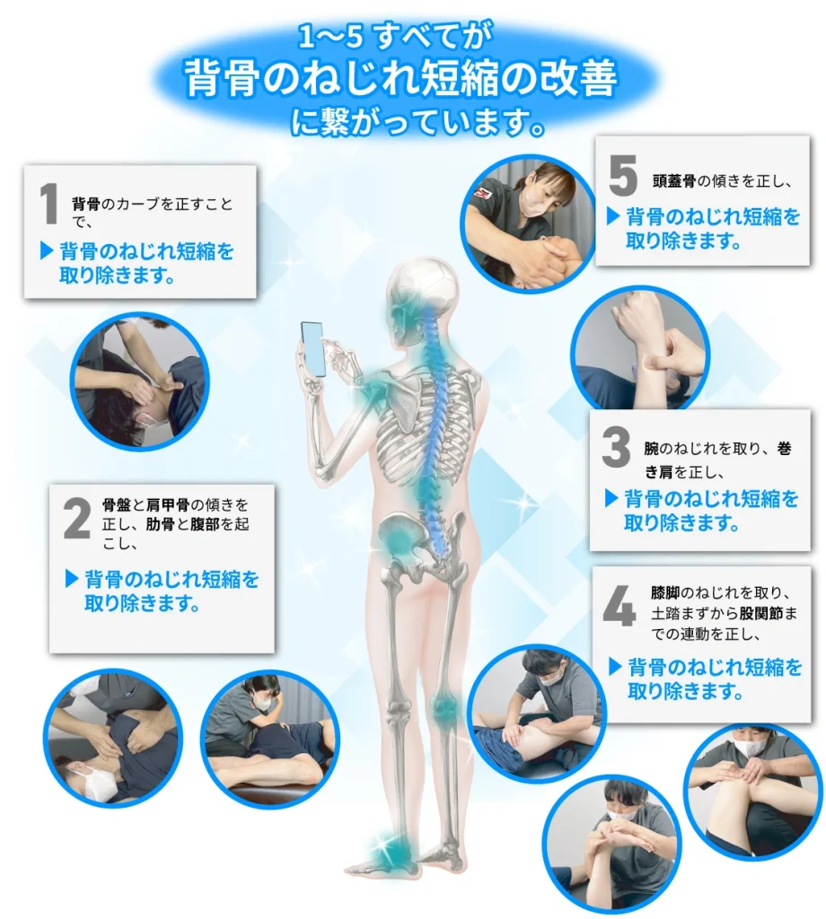 1〜5すべてが背骨のねじれ短縮の改善に繋がっています。