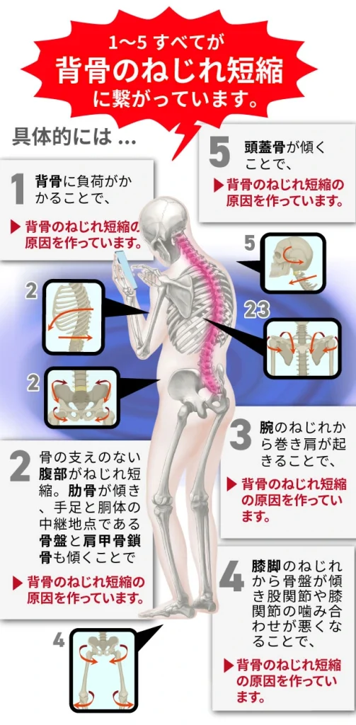 1〜5すべてが背骨のねじれ短縮に繋がっています。