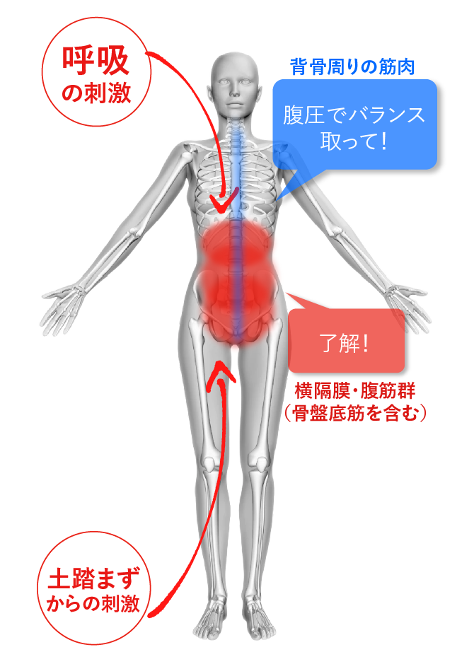 コアの仕組み